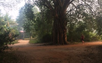 2018/01/25, Auroville, 11km