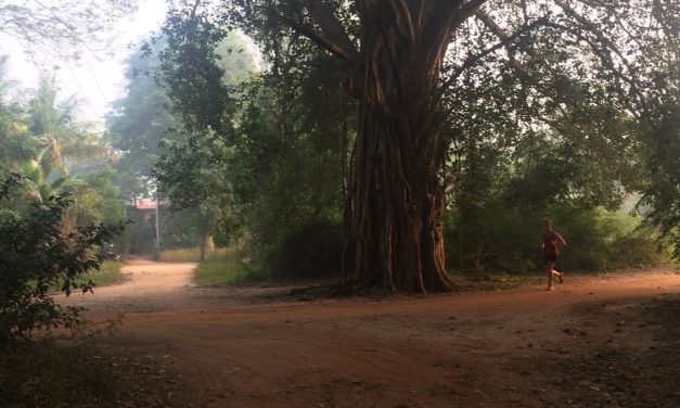 2018/01/25, Auroville, 11km